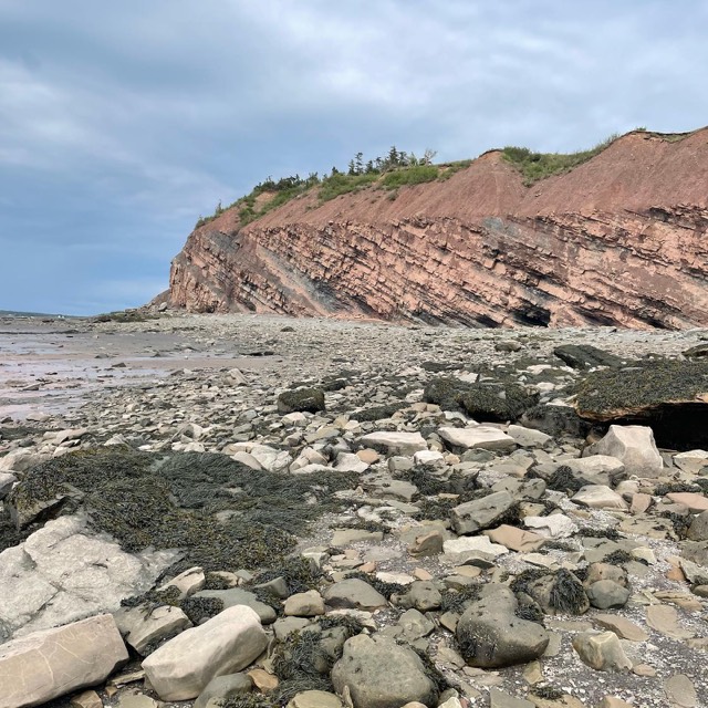 Joggins Fossil, NS, CANADA