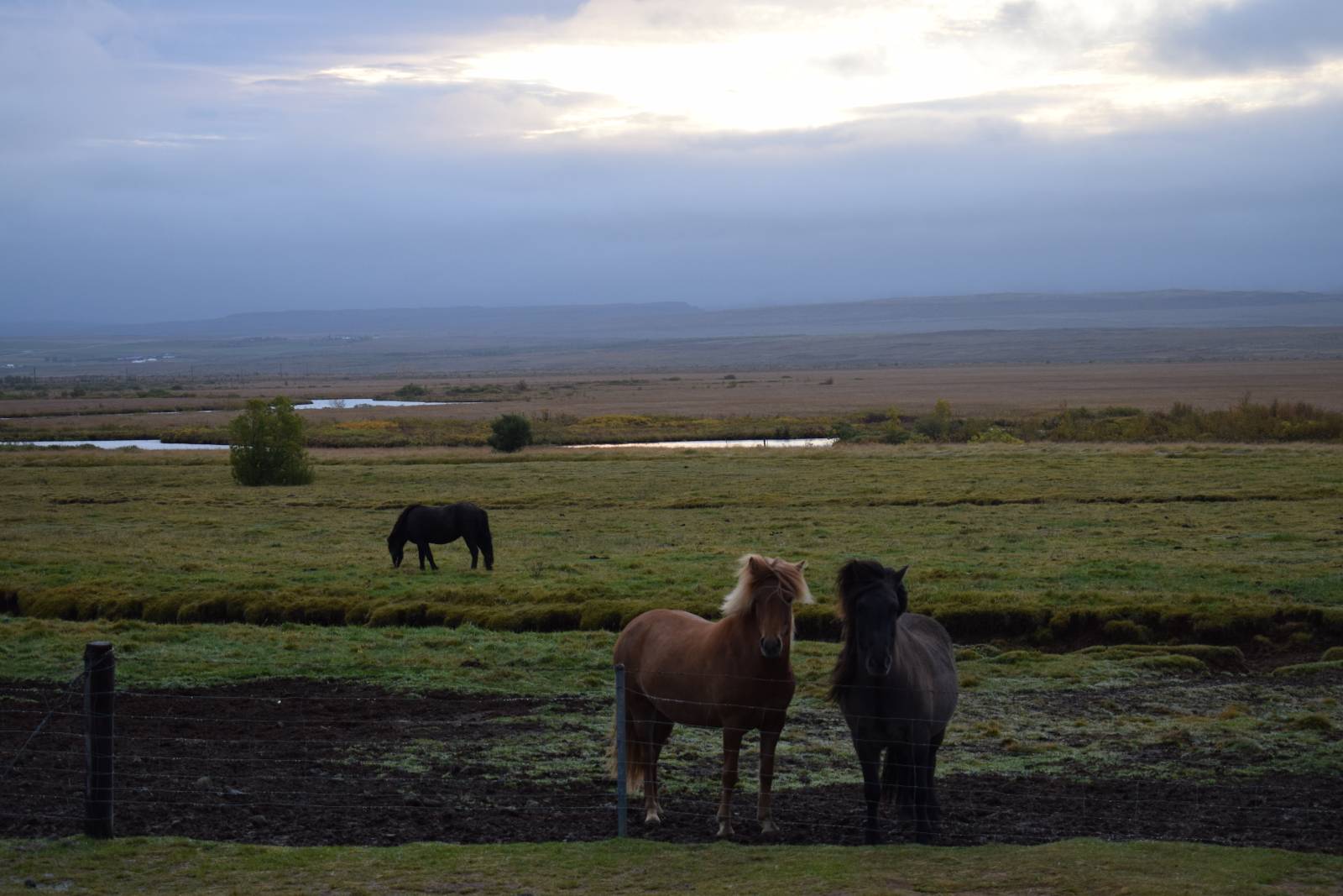 Iceland_4