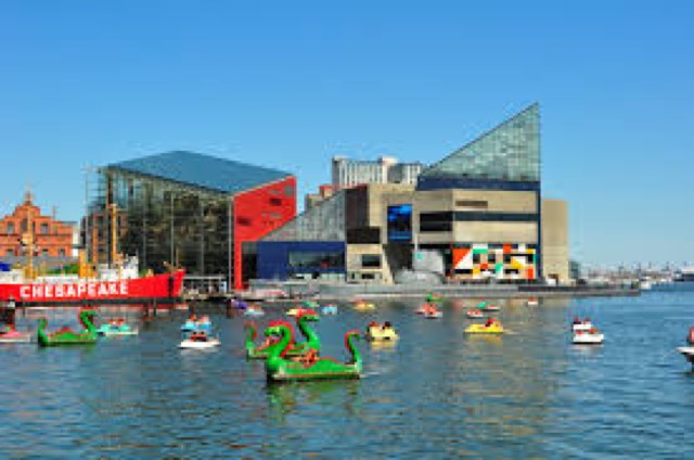 Baltimore Aquarium, MD, USA